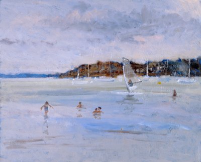 Windsurfer und Badende von Christopher Glanville